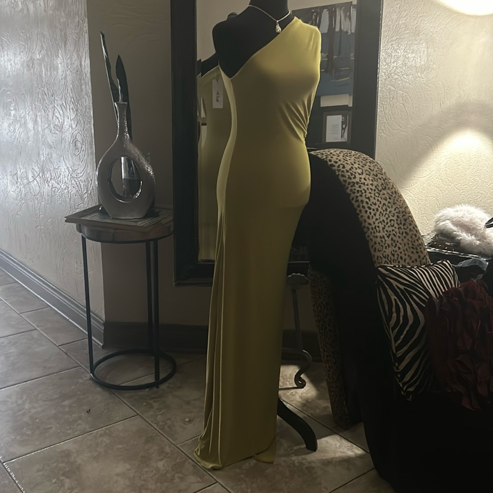 NWT Nasty Gal very figure flattering dress